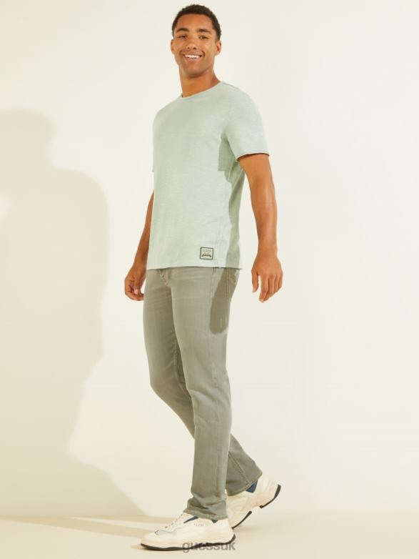 GUESS Men Dustin Tee Matcha Dust Apparel V28V64078